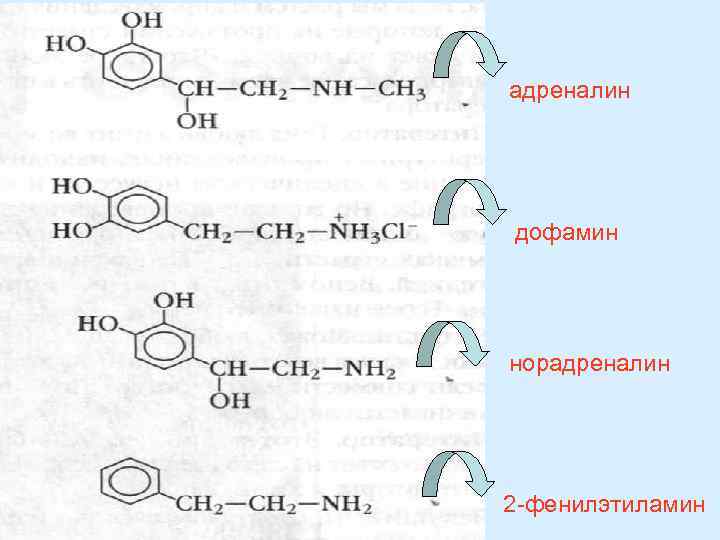 адреналин дофамин норадреналин 2 -фенилэтиламин 