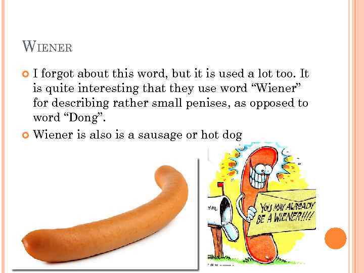 WIENER I forgot about this word, but it is used a lot too. It