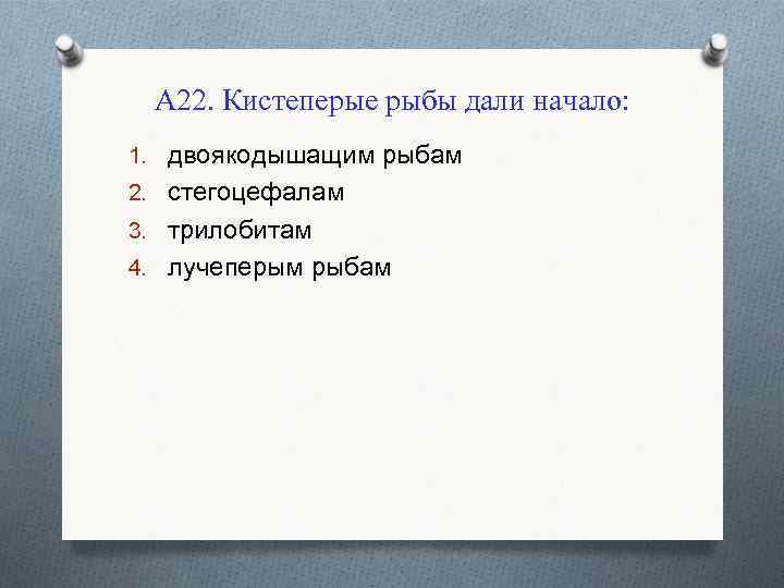 А 22. Кистеперые рыбы дали начало: 1. двоякодышащим рыбам 2. стегоцефалам 3. трилобитам 4.