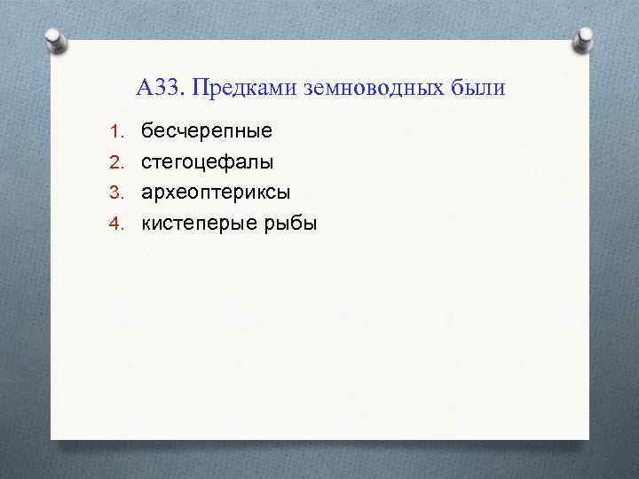 А 33. Предками земноводных были 1. бесчерепные 2. стегоцефалы 3. археоптериксы 4. кистеперые рыбы