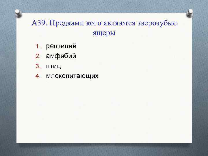 А 39. Предками кого являются зверозубые ящеры 1. рептилий 2. амфибий 3. птиц 4.