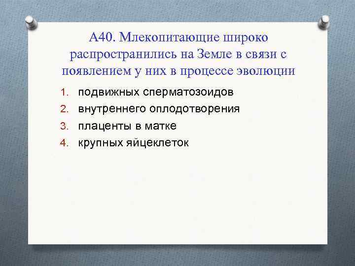 А 40. Млекопитающие широко распространились на Земле в связи с появлением у них в