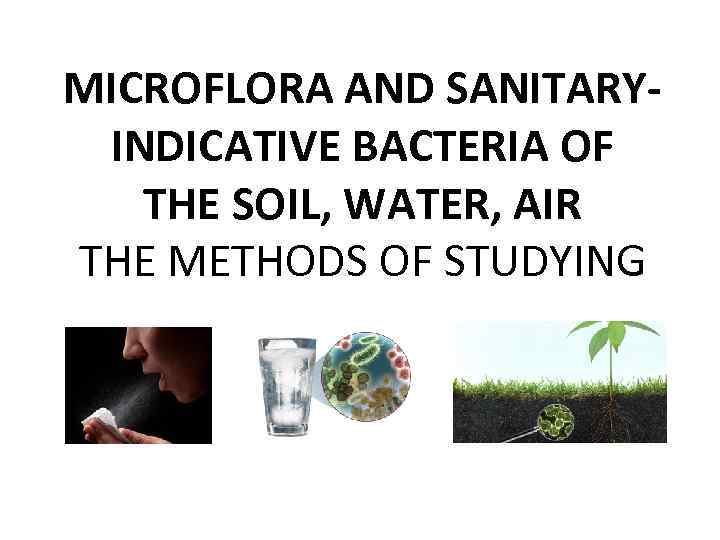 MICROFLORA AND SANITARYINDICATIVE BACTERIA OF THE SOIL, WATER, AIR THE METHODS OF STUDYING 