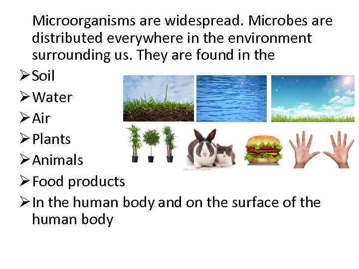 Microorganisms are widespread. Microbes are distributed everywhere in the environment surrounding us. They are