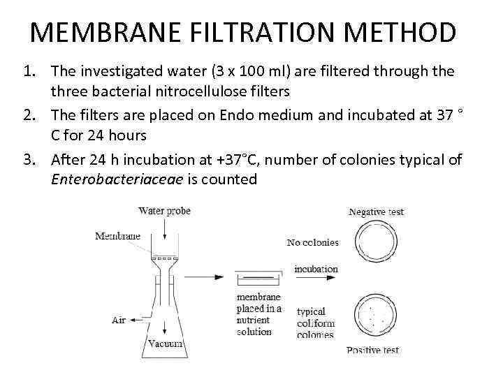 MEMBRANE FILTRATION METHOD 1. The investigated water (3 x 100 ml) are filtered through