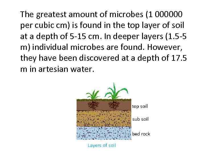 The greatest amount of microbes (1 000000 per cubic cm) is found in the