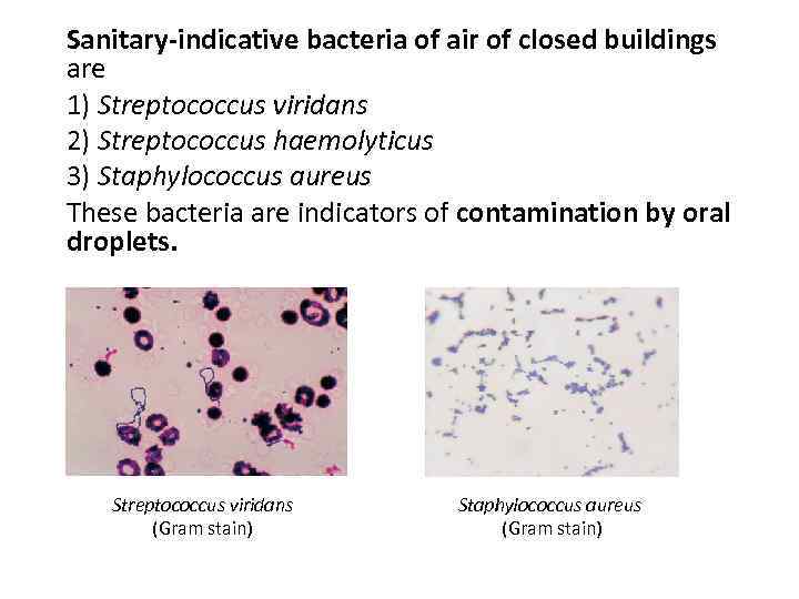 Sanitary-indicative bacteria of air of closed buildings are 1) Streptococcus viridans 2) Streptococcus haemolyticus