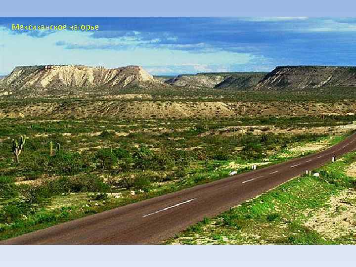 Мексиканское нагорье 