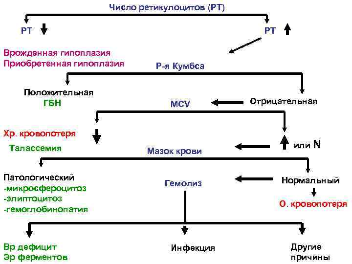 Число ретикулоцитов (РТ) РТ Врожденная гипоплазия Приобретенная гипоплазия Положительная ГБН РТ Р-я Кумбса МCV
