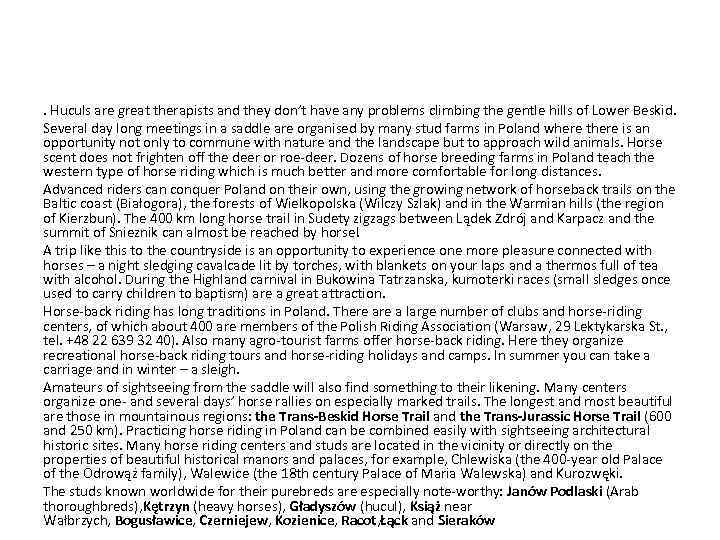 . Huculs are great therapists and they don’t have any problems climbing the gentle