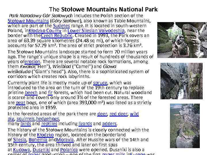 The Stołowe Mountains National Park Narodowy Gór Stołowych includes the Polish section of the