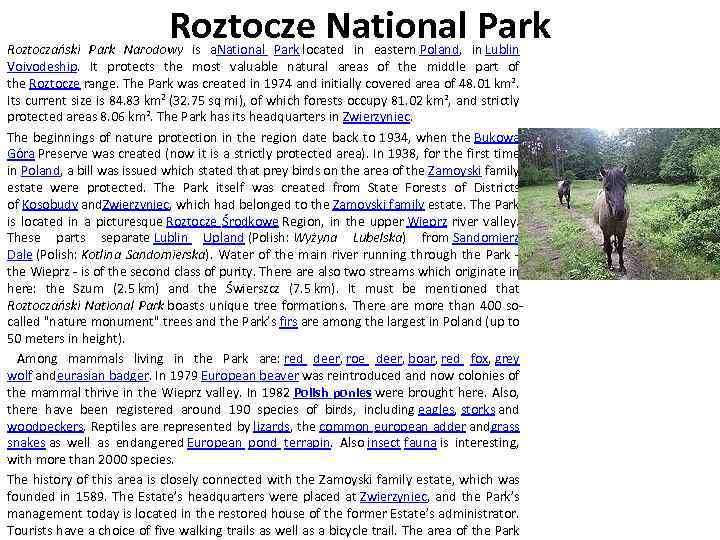 Roztocze National Park Roztoczański Park Narodowy is a. National Park located in eastern Poland,