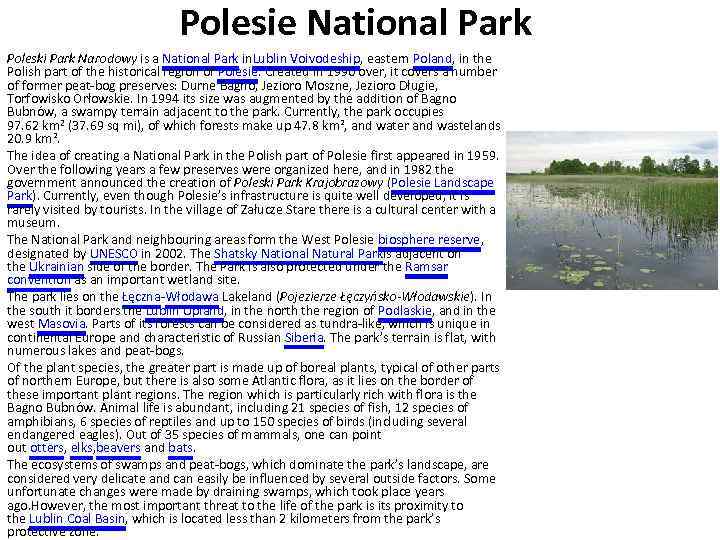 Polesie National Park Poleski Park Narodowy is a National Park in. Lublin Voivodeship, eastern