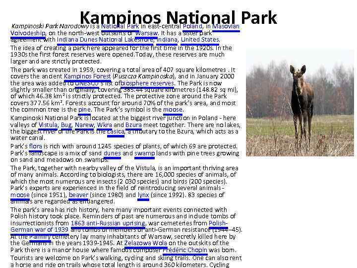 Kampinos National Park Kampinoski Park Narodowy is a National Park in east-central Poland, in