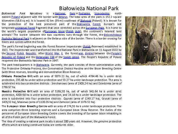 Białowieża National Park Białowieski Park Narodowy is a National Park in Podlaskie Voivodeship, northeastern