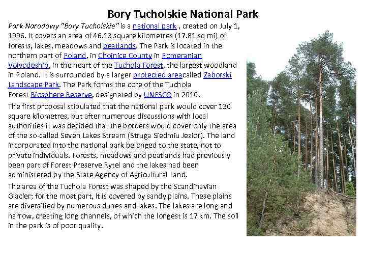 Bory Tucholskie National Park Narodowy 