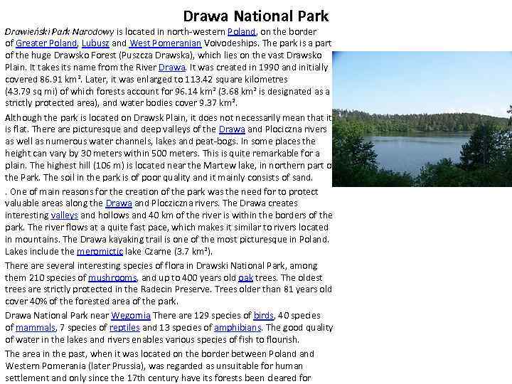Drawa National Park Drawieński Park Narodowy is located in north-western Poland, on the border