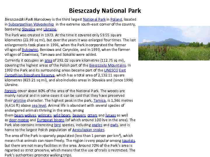 Bieszczady National Park Bieszczadzki Park Narodowy is the third largest National Park in Poland,