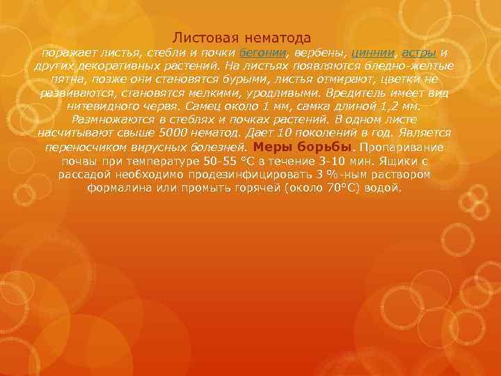 Листовая нематода поражает листья, стебли и почки бегонии, вербены, циннии, астры и других декоративных