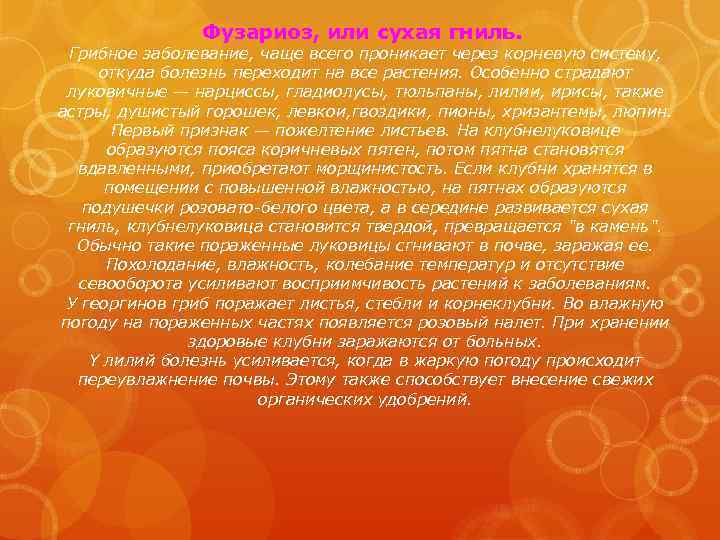 Фузариоз, или сухая гниль. Грибное заболевание, чаще всего проникает через корневую систему, откуда болезнь