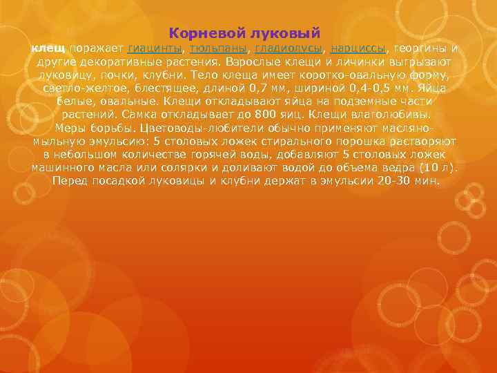 Корневой луковый клещ поражает гиацинты, тюльпаны, гладиолусы, нарциссы, георгины и другие декоративные растения. Взрослые