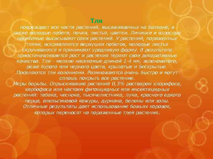 Тля повреждает все части растений, высаживаемых на балконе, а также молодые побеги, почки, листья,