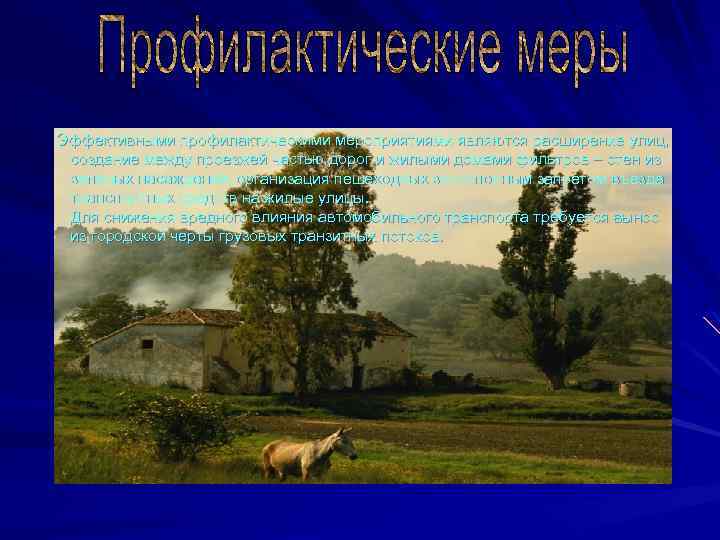 Эффективными профилактическими мероприятиями являются расширение улиц, создание между проезжей частью дорог и жилыми домами