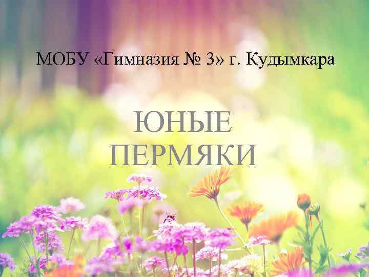 МОБУ «Гимназия № 3» г. Кудымкара ЮНЫЕ ПЕРМЯКИ 
