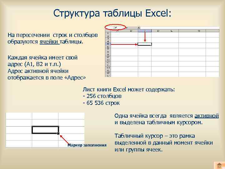 Структура таблицы Excel: На пересечении строк и столбцов образуются ячейки таблицы. Каждая ячейка имеет