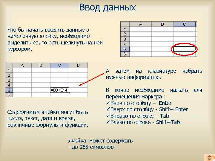 Ввод данных Что бы начать вводить данные в намеченную ячейку, необходимо выделить ее, то