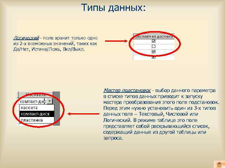 Типы данных: Логический - поле хранит только одно из 2 -х возможных значений, таких