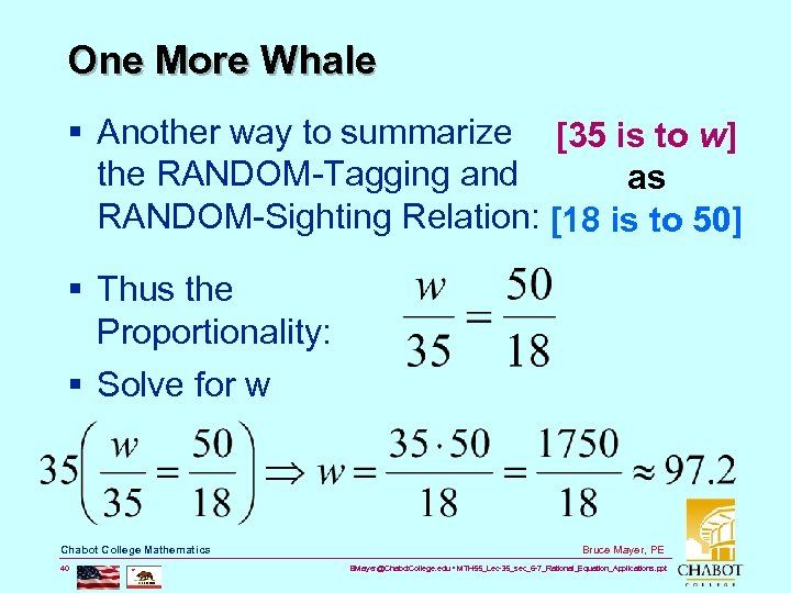 One More Whale § Another way to summarize [35 is to w] the RANDOM-Tagging