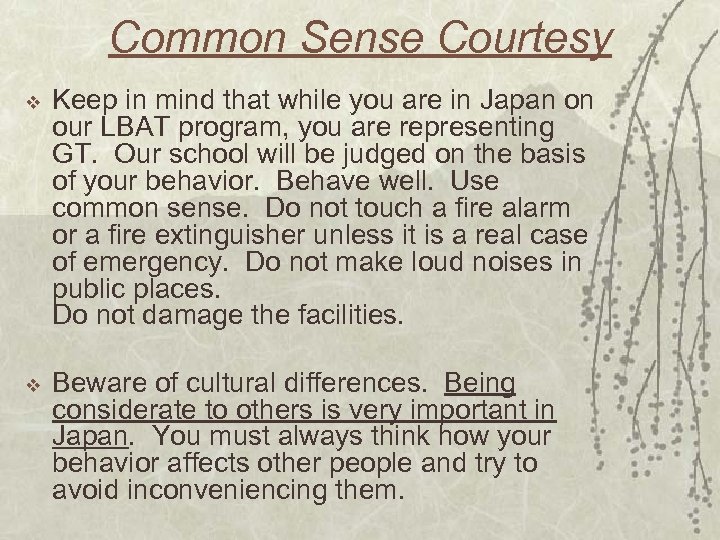Common Sense Courtesy v Keep in mind that while you are in Japan on