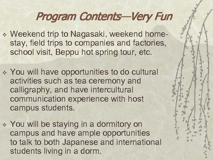 Program Contents—Very Fun v Weekend trip to Nagasaki, weekend homestay, field trips to companies
