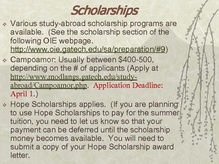 Scholarships v v v Various study-abroad scholarship programs are available. (See the scholarship section