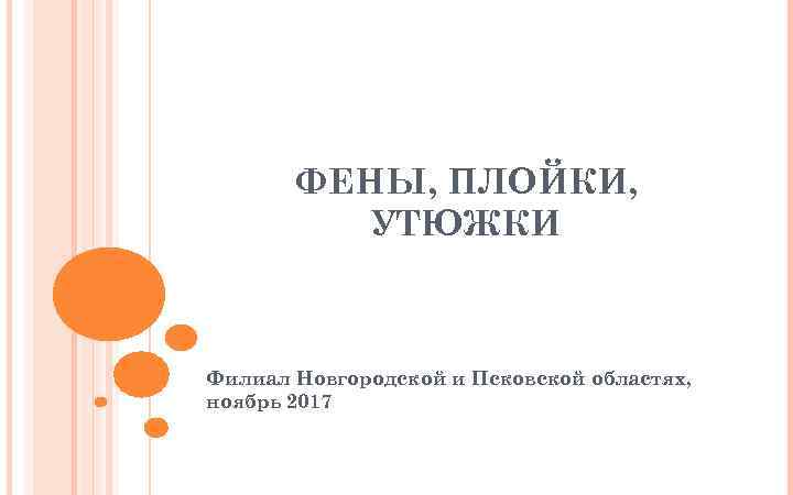 ФЕНЫ, ПЛОЙКИ, УТЮЖКИ Филиал Новгородской и Псковской областях, ноябрь 2017 