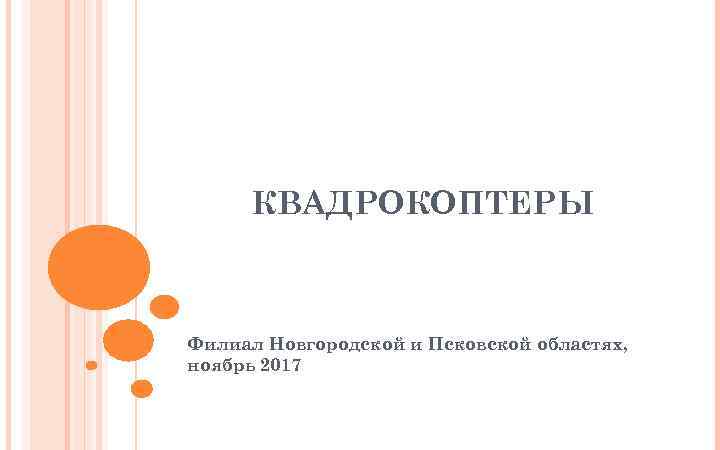 КВАДРОКОПТЕРЫ Филиал Новгородской и Псковской областях, ноябрь 2017 