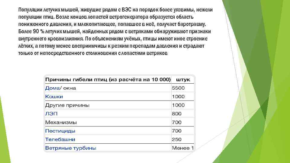Популяции летучих мышей, живущие рядом с ВЭС на порядок более уязвимы, нежели популяции птиц.