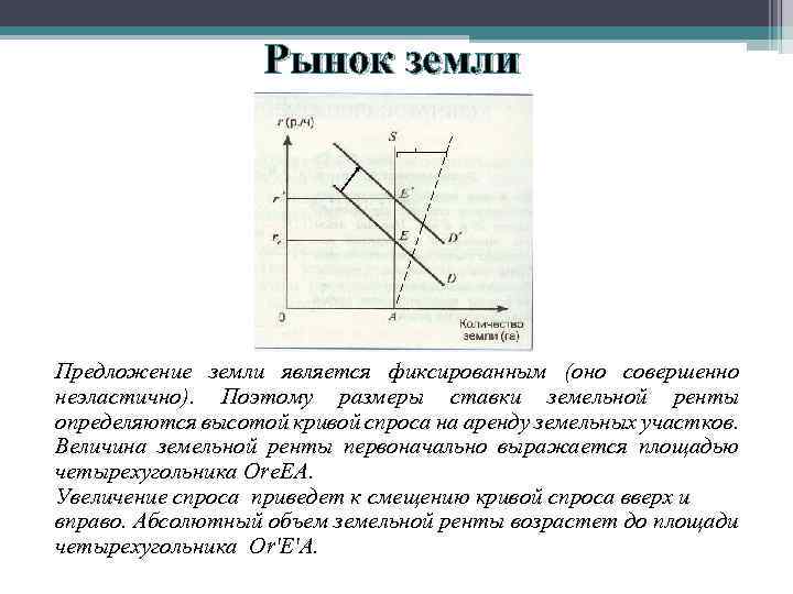 Рынок земли Предложение земли является фиксированным (оно совершенно неэластично). Поэтому размеры ставки земельной ренты