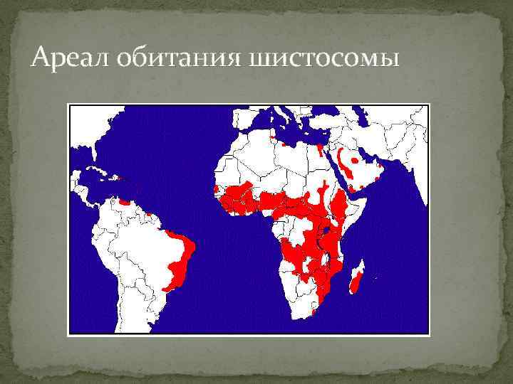 Ареал обитания окуня