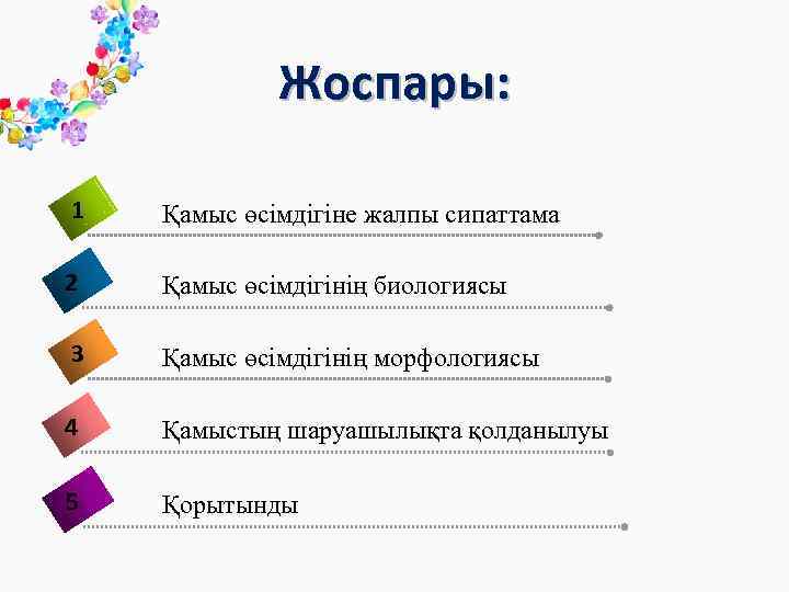 Жоспары: 1 Қамыс өсімдігіне жалпы сипаттама 2 Қамыс өсімдігінің биологиясы 3 Қамыс өсімдігінің морфологиясы