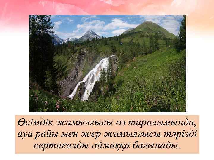 Өсімдік жамылғысы өз таралымында, ауа райы мен жер жамылғысы тәрізді вертикалды аймаққа бағынады. 
