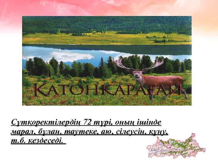 Сүтқоректілердің 72 түрі, оның ішінде марал, бұлан, таутеке, аю, сілеусін, құну, т. б. кездеседі.