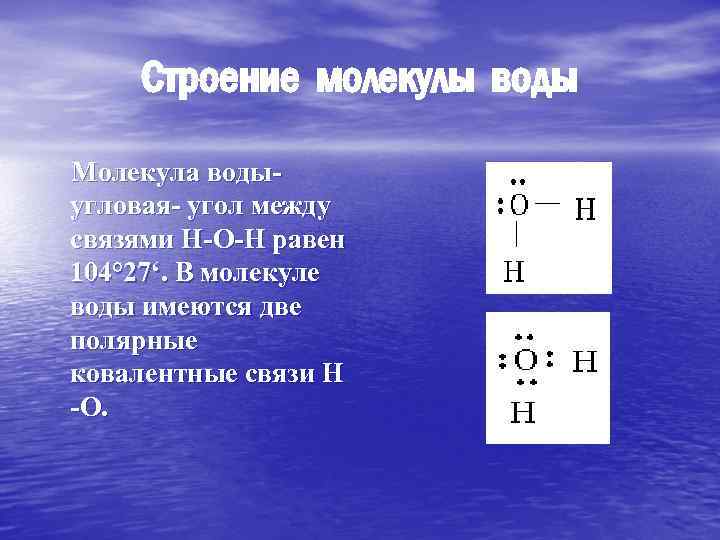 Строение молекулы воды Молекула воды угловая- угол между связями Н-О-Н равен 104° 27‘. В