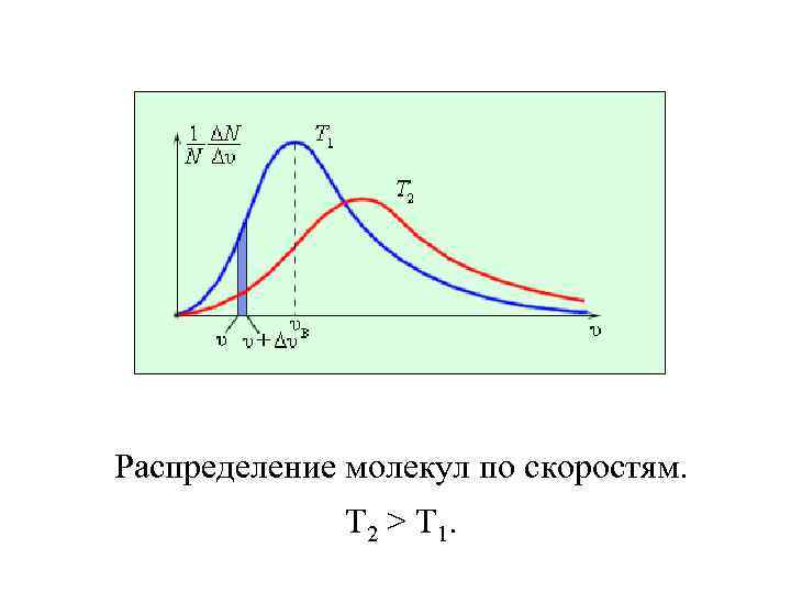 Распределение молекул по скоростям. T 2 > T 1. 