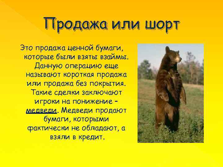 Продажа или шорт Это продажа ценной бумаги, которые были взяты взаймы. Данную операцию еще