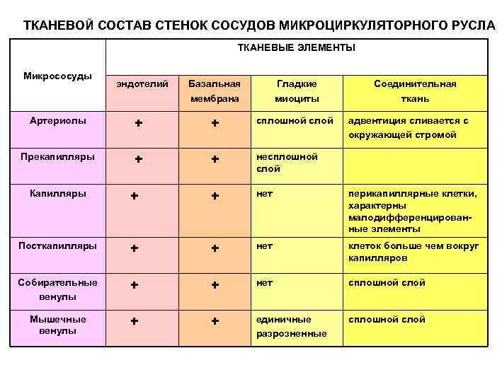 ТКАНЕВОЙ СОСТАВ СТЕНОК СОСУДОВ МИКРОЦИРКУЛЯТОРНОГО РУСЛА ТКАНЕВЫЕ ЭЛЕМЕНТЫ Микрососуды эндотелий Базальная мембрана Гладкие миоциты