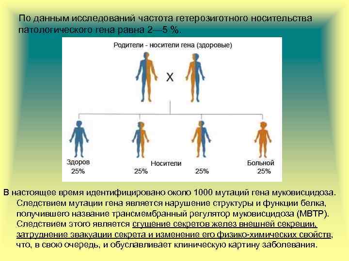 По данным исследований частота гетерозиготного носительства патологического гена равна 2— 5 %. В настоящее