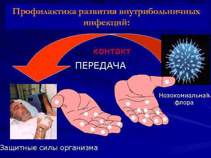 Pathophysiology of внутрибольничных Профилактика развитияnosocomial infections инфекций: контакт ПЕРЕДАЧА Защитные силы организма Нозокомиальная флора