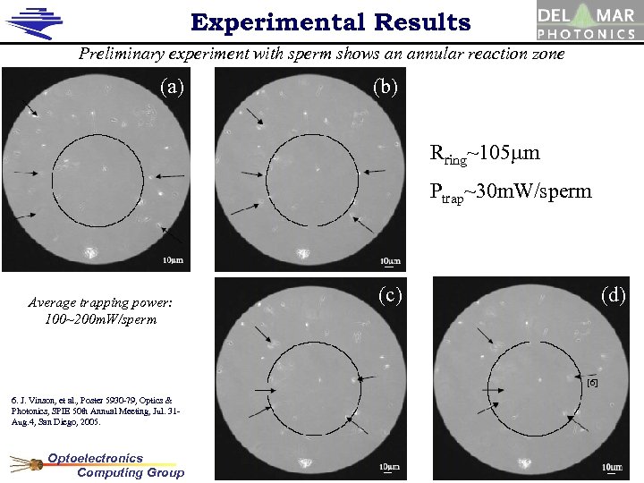 Experimental Results Preliminary experiment with sperm shows an annular reaction zone (a) (b) Rring~105